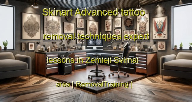 Skinart Advanced tattoo removal techniques expert lessons in Zemieji Svirnai area | RemovalTraining | RemovalClasses | SkinartTraining-Lithuania